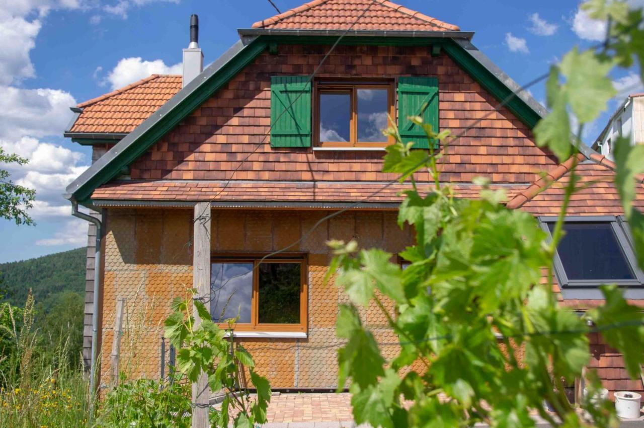 Le Gite Du Wildbach Wildersbach Екстер'єр фото
